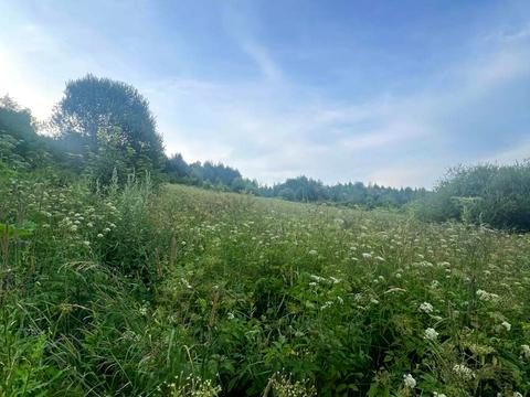 ділянка за адресою с. Новий Кропивник, 