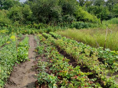 будинок за адресою Лугова