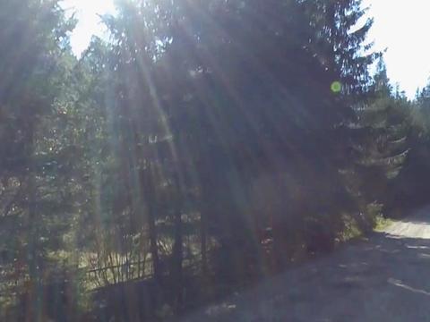 ділянка за адресою смт. Ворохта, Говерлянська