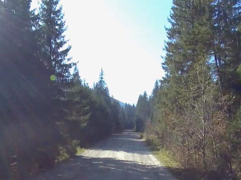 ділянка за адресою смт. Ворохта, Говерлянська