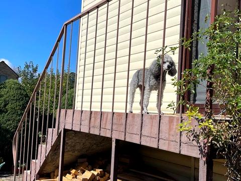 будинок за адресою Сонячна