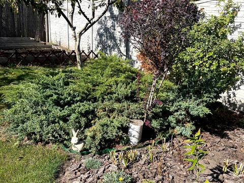 будинок за адресою Сонячна