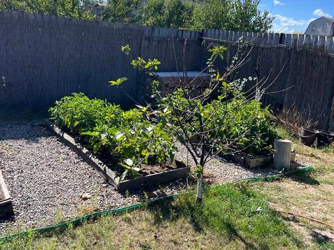 будинок за адресою Сонячна