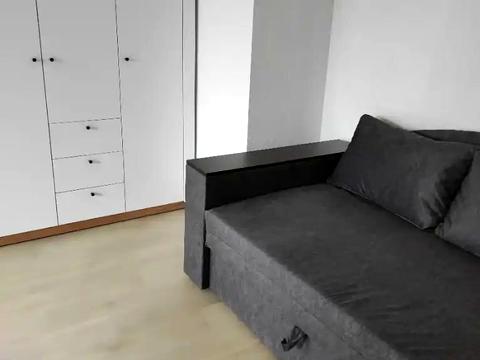 будинок за адресою Дніпро, Василя Вишиваного вул. (Свєтлова)