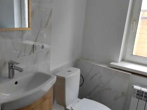 будинок за адресою Дніпро, Василя Вишиваного вул. (Свєтлова)