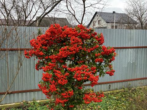 дом по адресу Гончара, 20