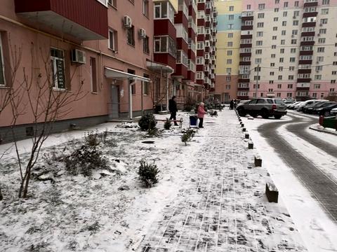 квартира по адресу Михаила Лушпы просп., 5 к26