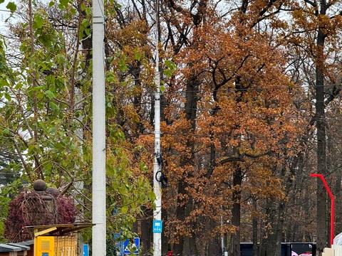 будинок за адресою Університетська вул.