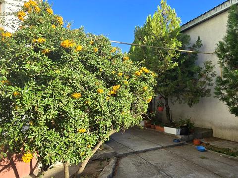 дом по адресу Каштановая ул., 27