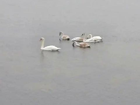 дом по адресу Мостостроительная ул., 17