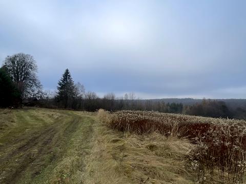 ділянка за адресою 