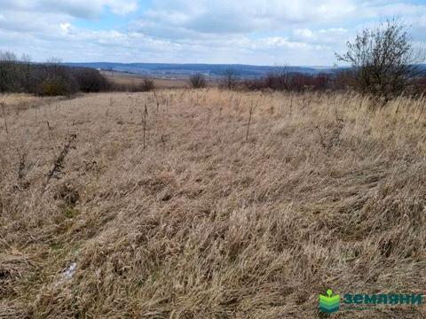 участок по адресу с. Колодиевка, 