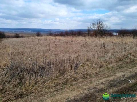 участок по адресу с. Колодиевка, 