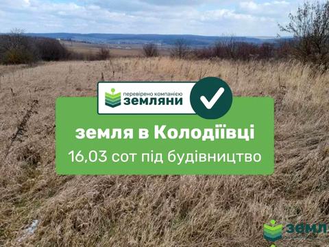 участок по адресу с. Колодиевка, 