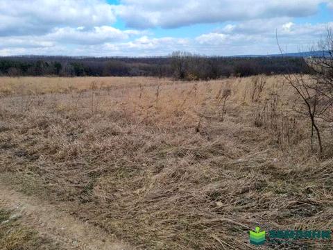 участок по адресу с. Колодиевка, 