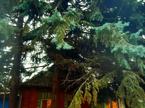 будинок за адресою Кривий Ріг, Дежньова вул., 12