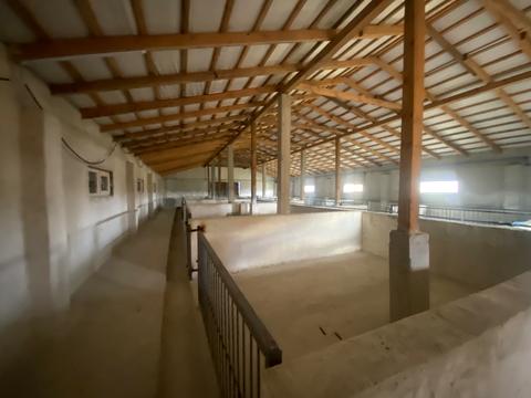 комерційна за адресою Дружби, 16