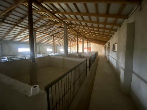 комерційна за адресою Дружби, 16