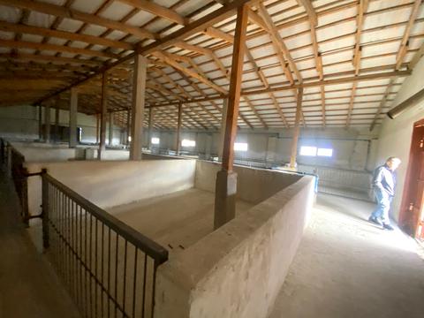 комерційна за адресою Дружби, 16