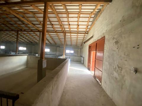 комерційна за адресою Дружби, 16