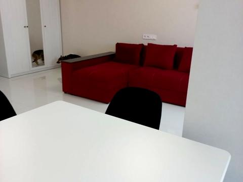 квартира за адресою Юліана Пелеша вул., 3