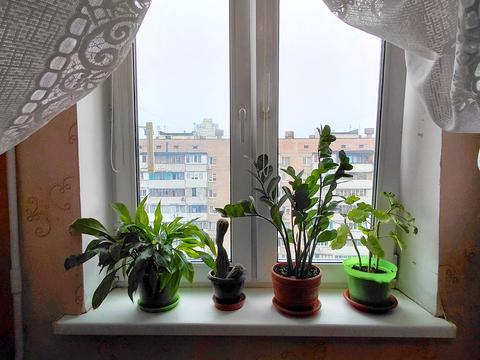 квартира за адресою Північна вул. (Північна), 48