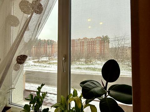 квартира за адресою Лісова вул., 6-К