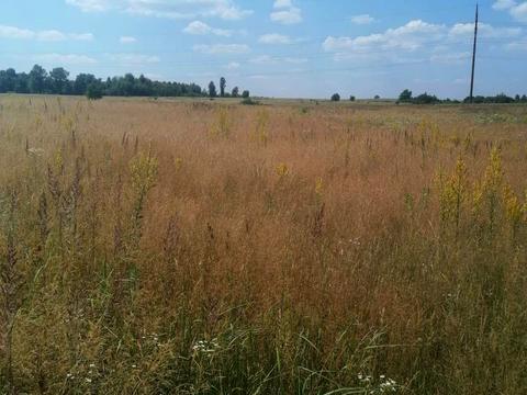 участок по адресу 