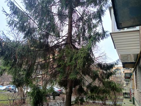 квартира по адресу Елены Телиги ул., 1-А