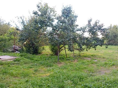 будинок за адресою Польова