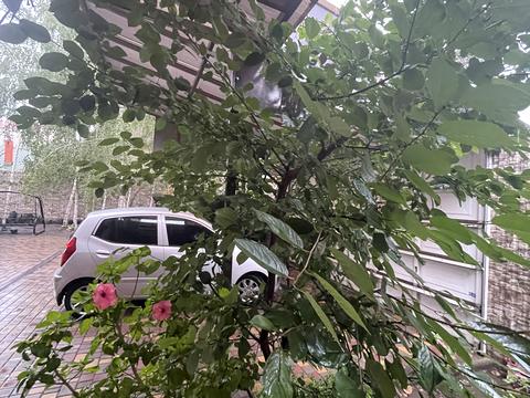 будинок за адресою Полуничний пров.