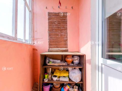 квартира за адресою Ахсарова вул., 13