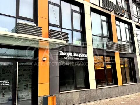 комерційна за адресою Київ, Предславинська вул., 55