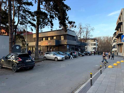 дом по адресу Леси Украинки ул.