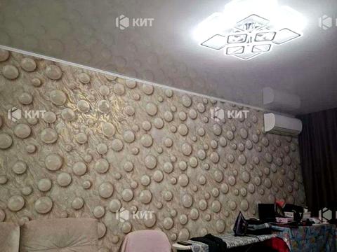 квартира по адресу Юбилейный просп. (50-летия ВЛКСМ), 89