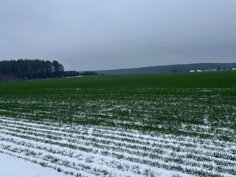 участок по адресу 