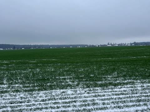 участок по адресу 