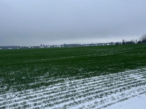 участок по адресу 