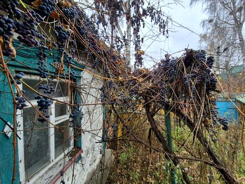 будинок за адресою Вишнева