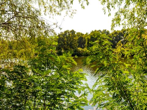 будинок за адресою Обухівський