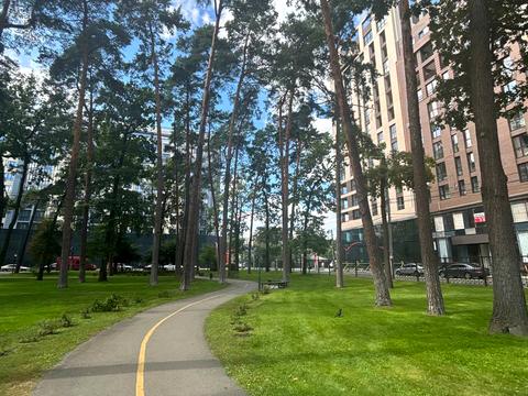 комерційна за адресою Матвія Донцова вул. (Тургенєвська), 24, к2