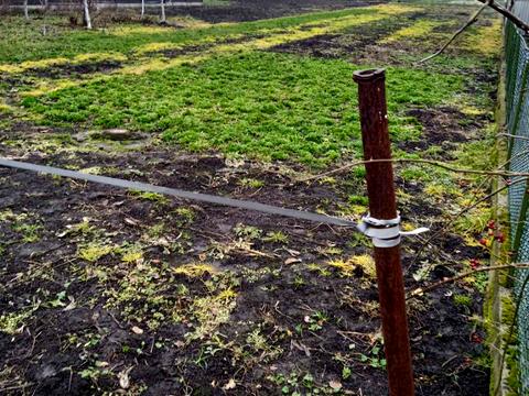 участок по адресу с. Великие Грибовичи, Городня