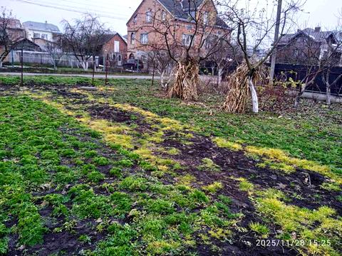 ділянка за адресою Городня