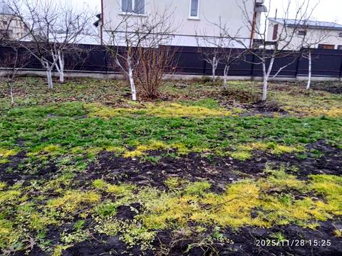 участок по адресу с. Великие Грибовичи, Городня