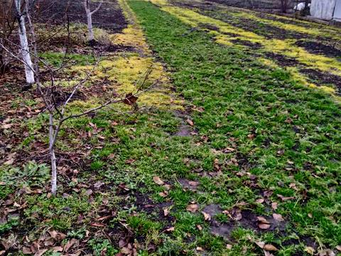 участок по адресу с. Великие Грибовичи, Городня