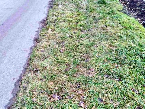 участок по адресу с. Великие Грибовичи, Городня