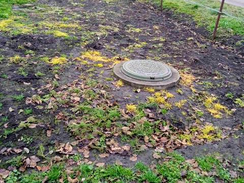 участок по адресу с. Великие Грибовичи, Городня