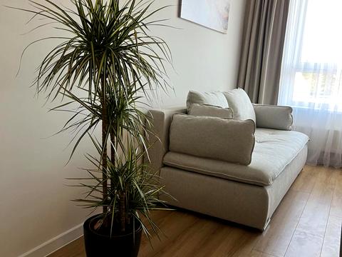 квартира по адресу Трилёвского ул., 4-А