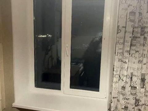 квартира по адресу Днестровская ул., 1а