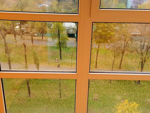 квартира за адресою Академіка Вернадського бульв., 24